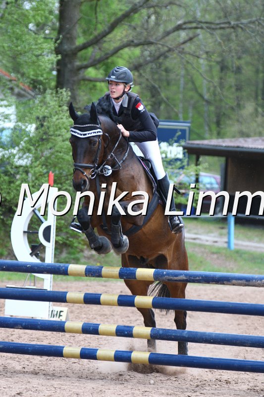 004M2169_Quincy_Punkte L m. Joker.JPG